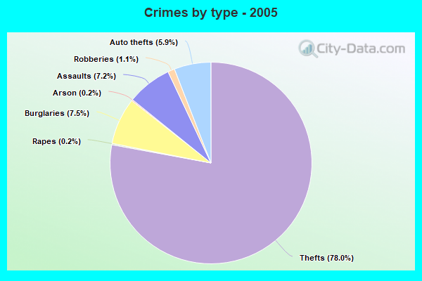 Crimes by type - 2005