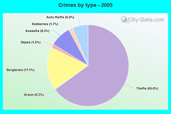 Crimes by type - 2005