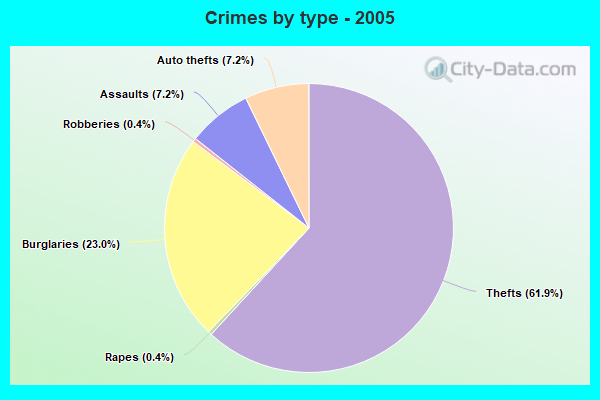 Crimes by type - 2005