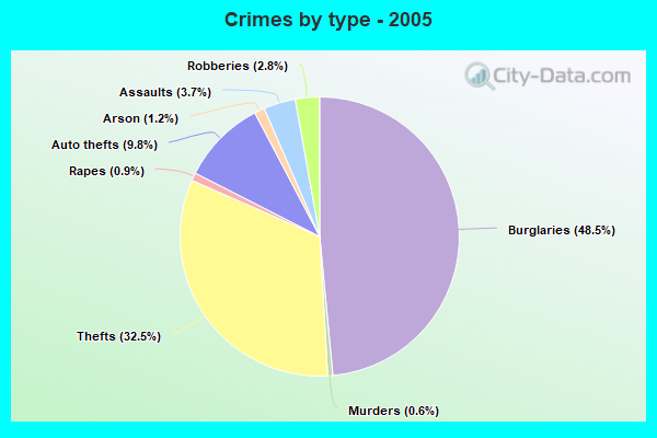 Crimes by type - 2005