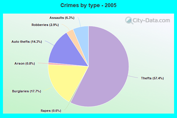 Crimes by type - 2005