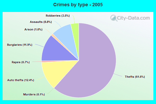 Crimes by type - 2005