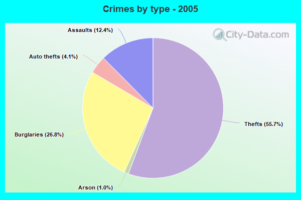 Crimes by type - 2005