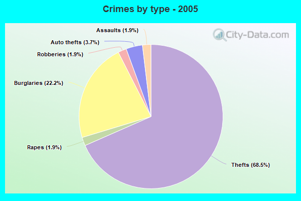 Crimes by type - 2005