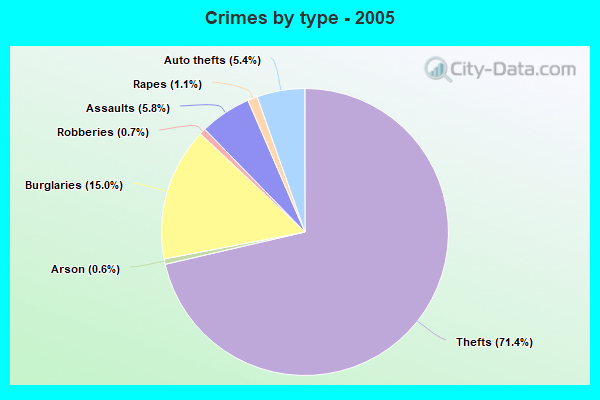 Crimes by type - 2005