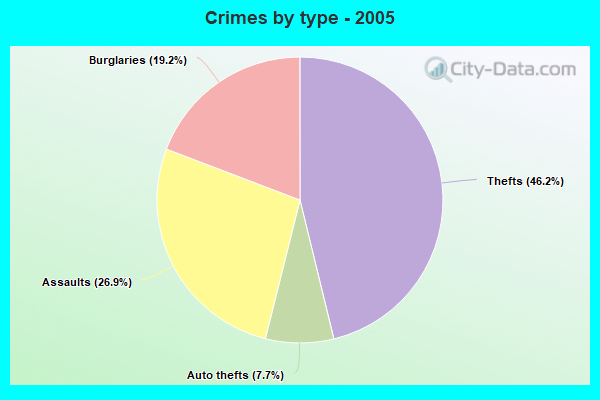 Crimes by type - 2005