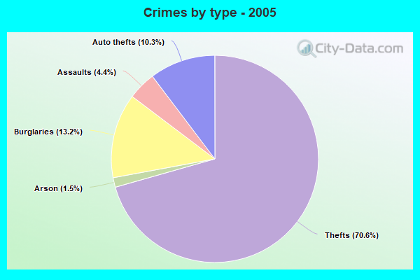 Crimes by type - 2005