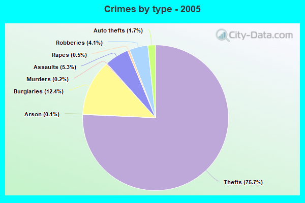 Crimes by type - 2005