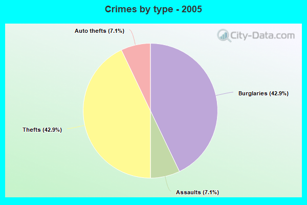 Crimes by type - 2005