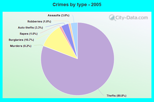 Crimes by type - 2005