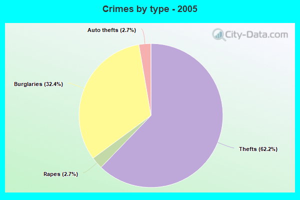 Crimes by type - 2005