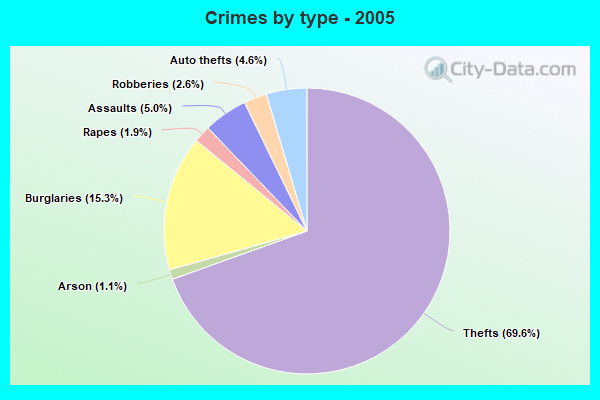 Crimes by type - 2005