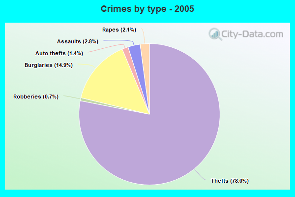 Crimes by type - 2005