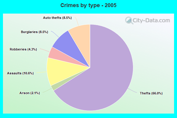 Crimes by type - 2005