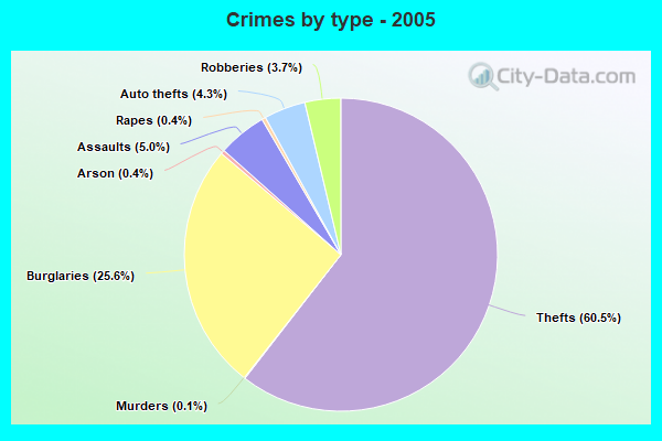 Crimes by type - 2005