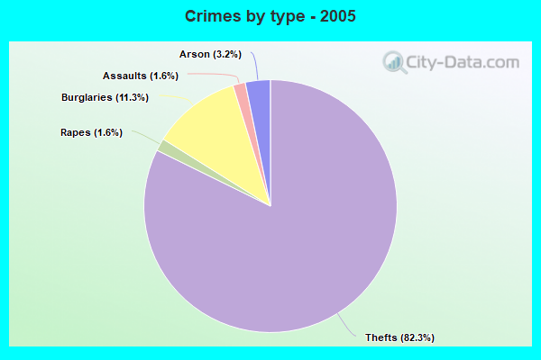 Crimes by type - 2005