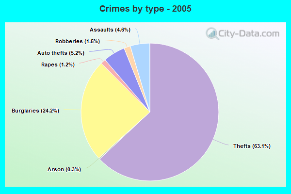 Crimes by type - 2005