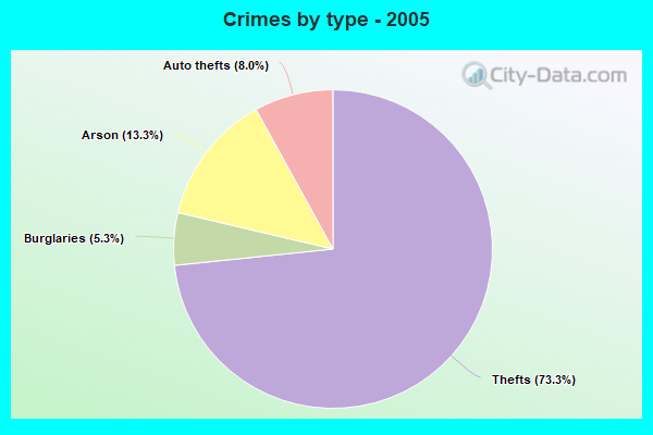 Crimes by type - 2005