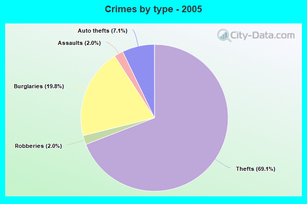 Crimes by type - 2005