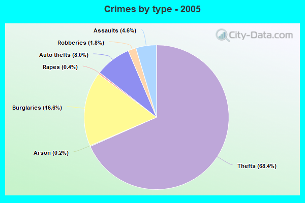 Crimes by type - 2005