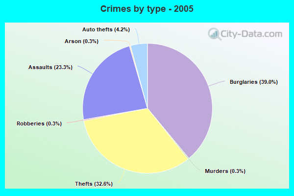 Crimes by type - 2005