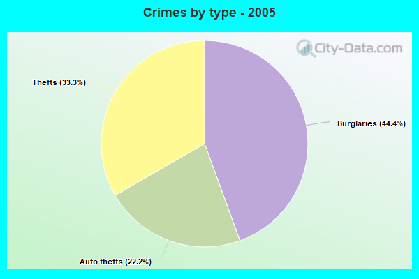 Crimes by type - 2005