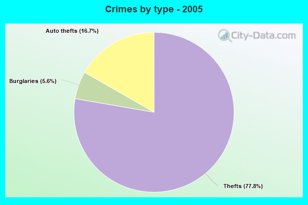 Crimes by type - 2005