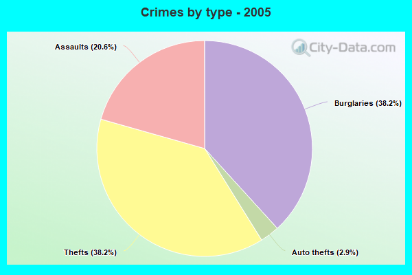 Crimes by type - 2005