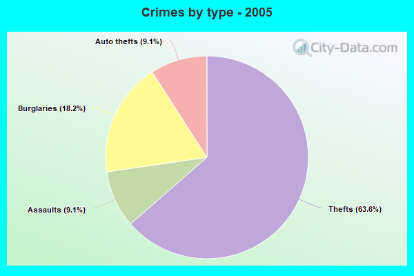 Crimes by type - 2005