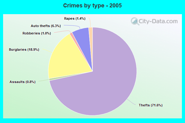 Crimes by type - 2005