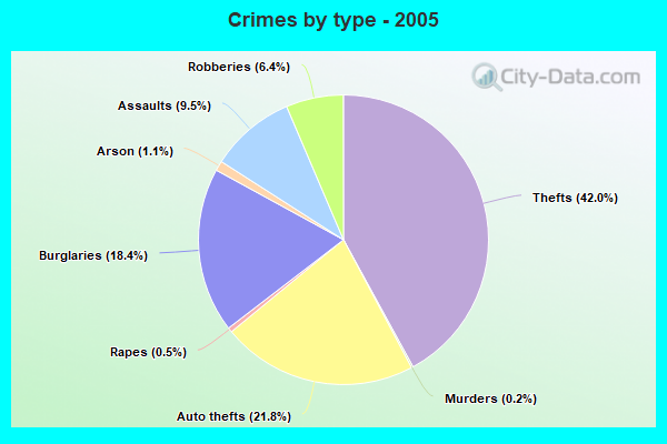 Crimes by type - 2005