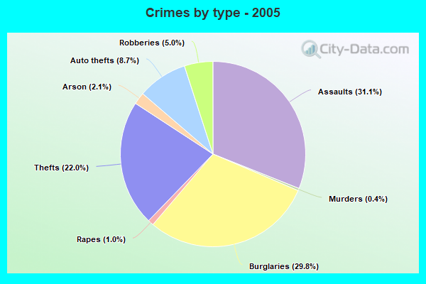 Crimes by type - 2005