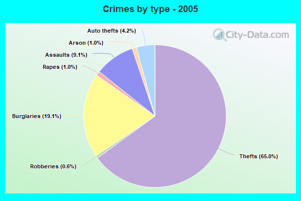 Crimes by type - 2005