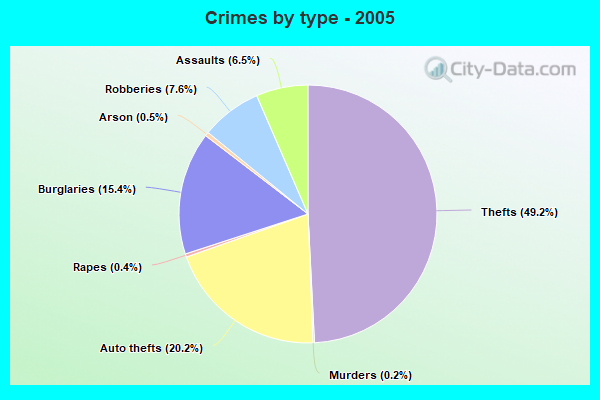 Crimes by type - 2005