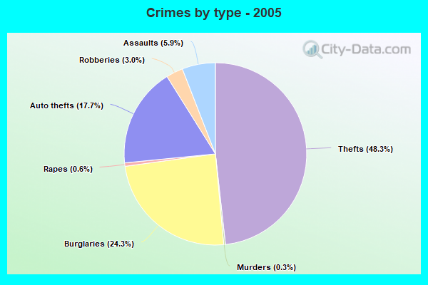 Crimes by type - 2005