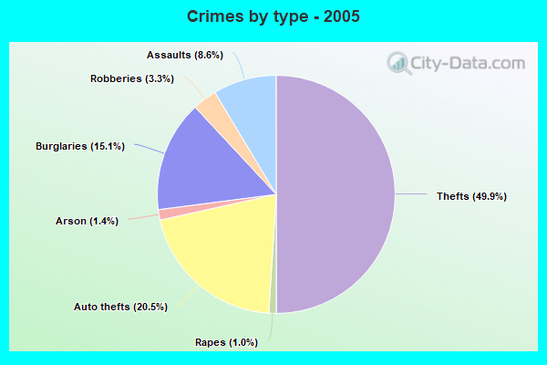 Crimes by type - 2005