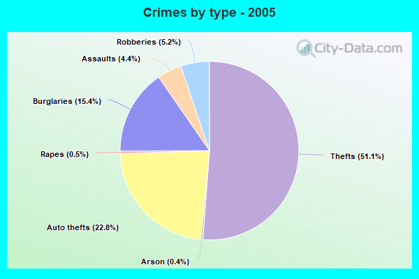 Crimes by type - 2005