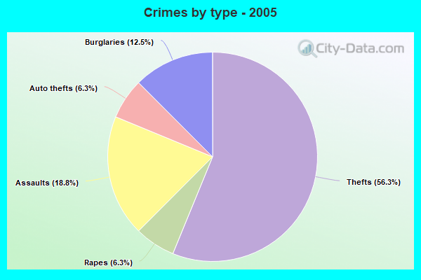 Crimes by type - 2005