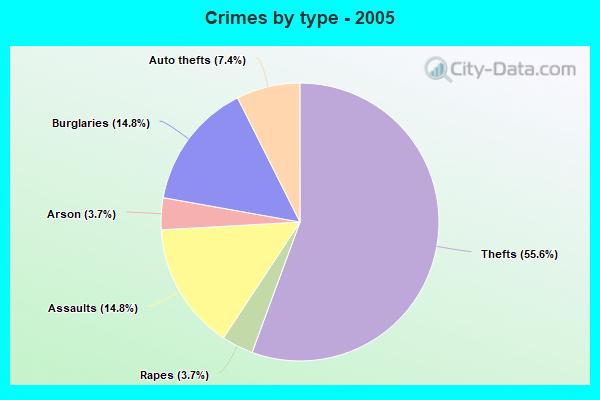 Crimes by type - 2005