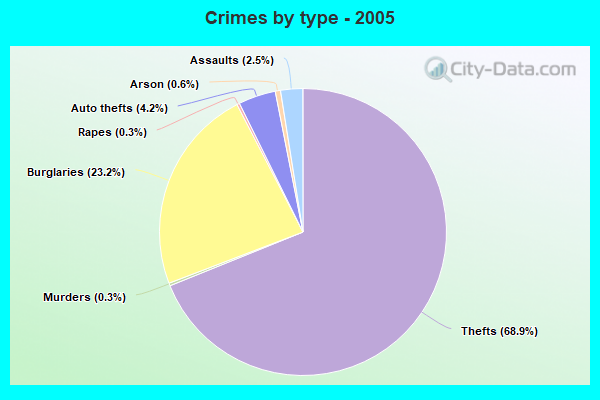 Crimes by type - 2005