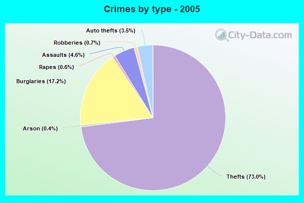 Crimes by type - 2005