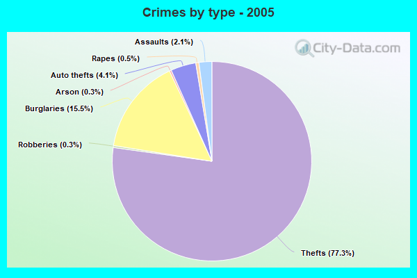 Crimes by type - 2005