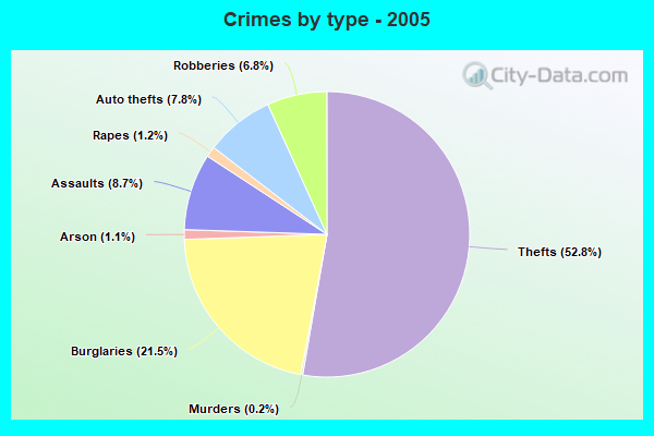 Crimes by type - 2005