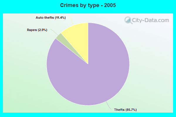 Crimes by type - 2005