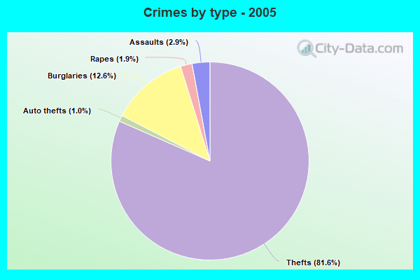 Crimes by type - 2005