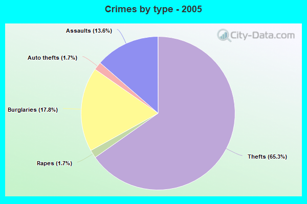 Crimes by type - 2005