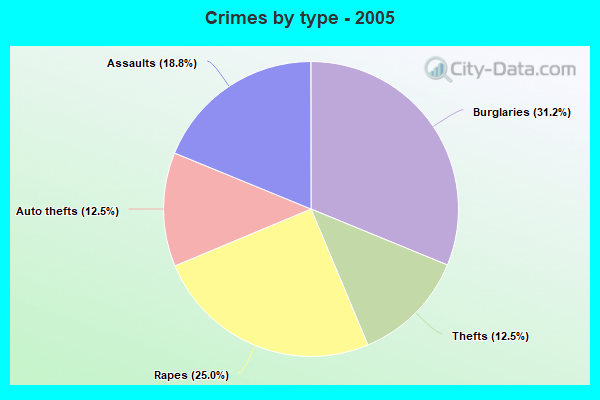 Crimes by type - 2005