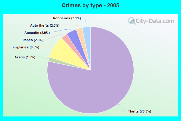 Crimes by type - 2005