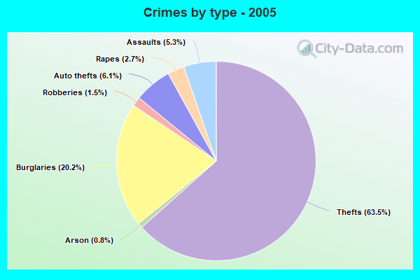 Crimes by type - 2005