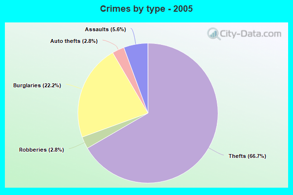 Crimes by type - 2005